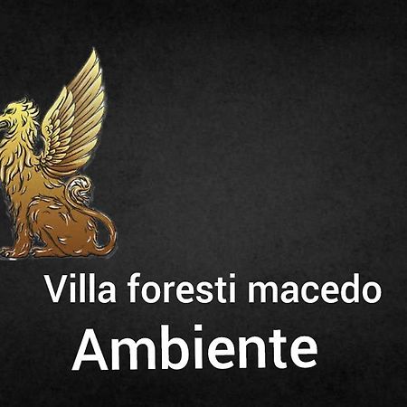 Ambiente Foresti Macedo Gramado Kültér fotó